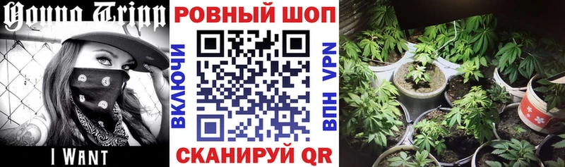 Хочу наркоту Тайшет КОКАИН ГАШ мега сайт Codein Канабис Alpha PVP