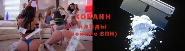 дживик Пестово