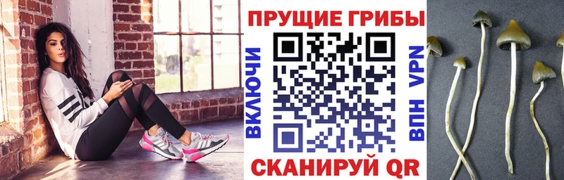 Галлюциногенные грибы прущие грибы hydra маркетплейс Тайшет закладка