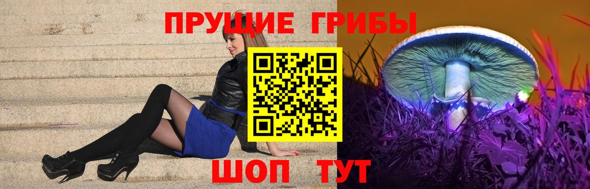 Псилоцибиновые грибы Magic Shrooms  Вход с VPN  Тайшет 