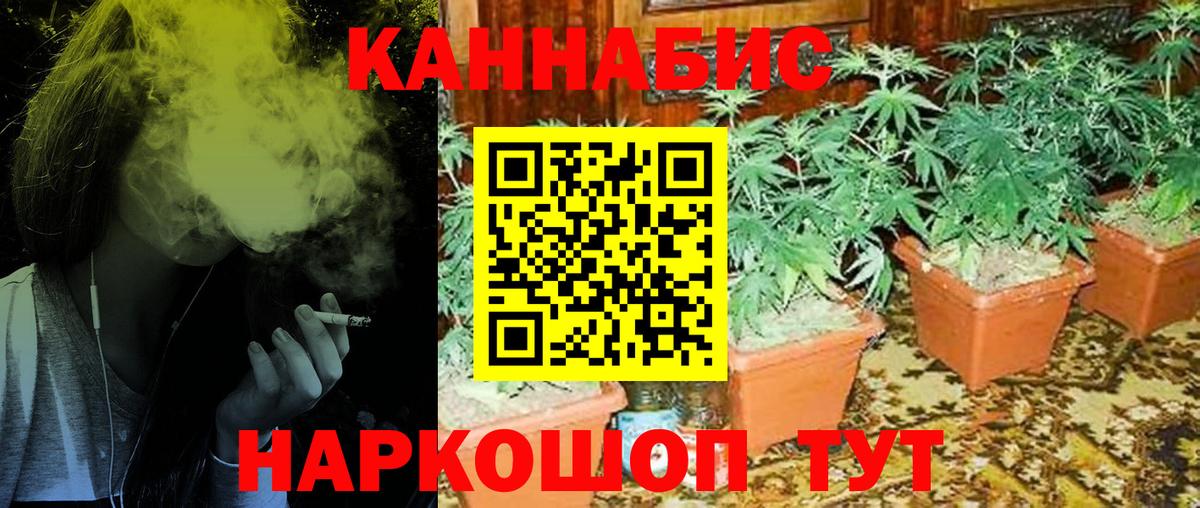 Тайшет  Канабис ГИДРОПОН  Вход с VPN  Каннабис тримм  Бошки Шишки план 